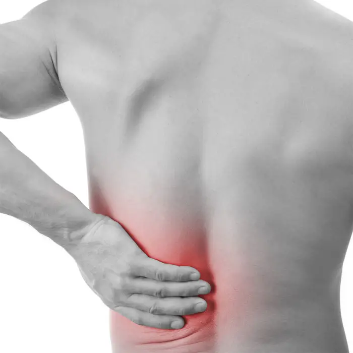 Low Back Pain and Fat Loss