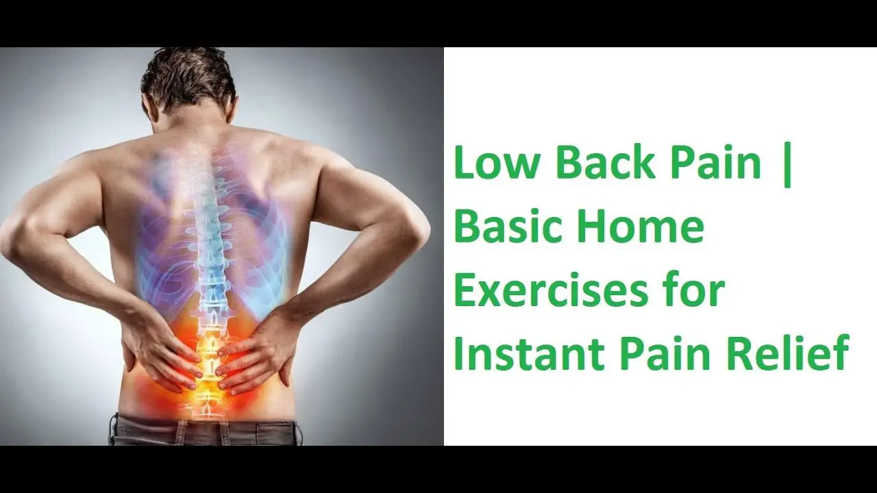 Low Back Pain (Bisma Samani)
