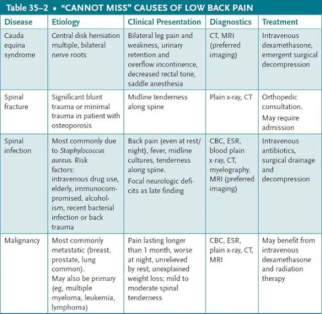 Low Back Pain Case File