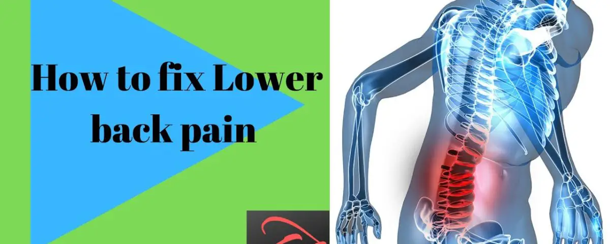Low back pain exercises ( HOW TO FIX) 2019