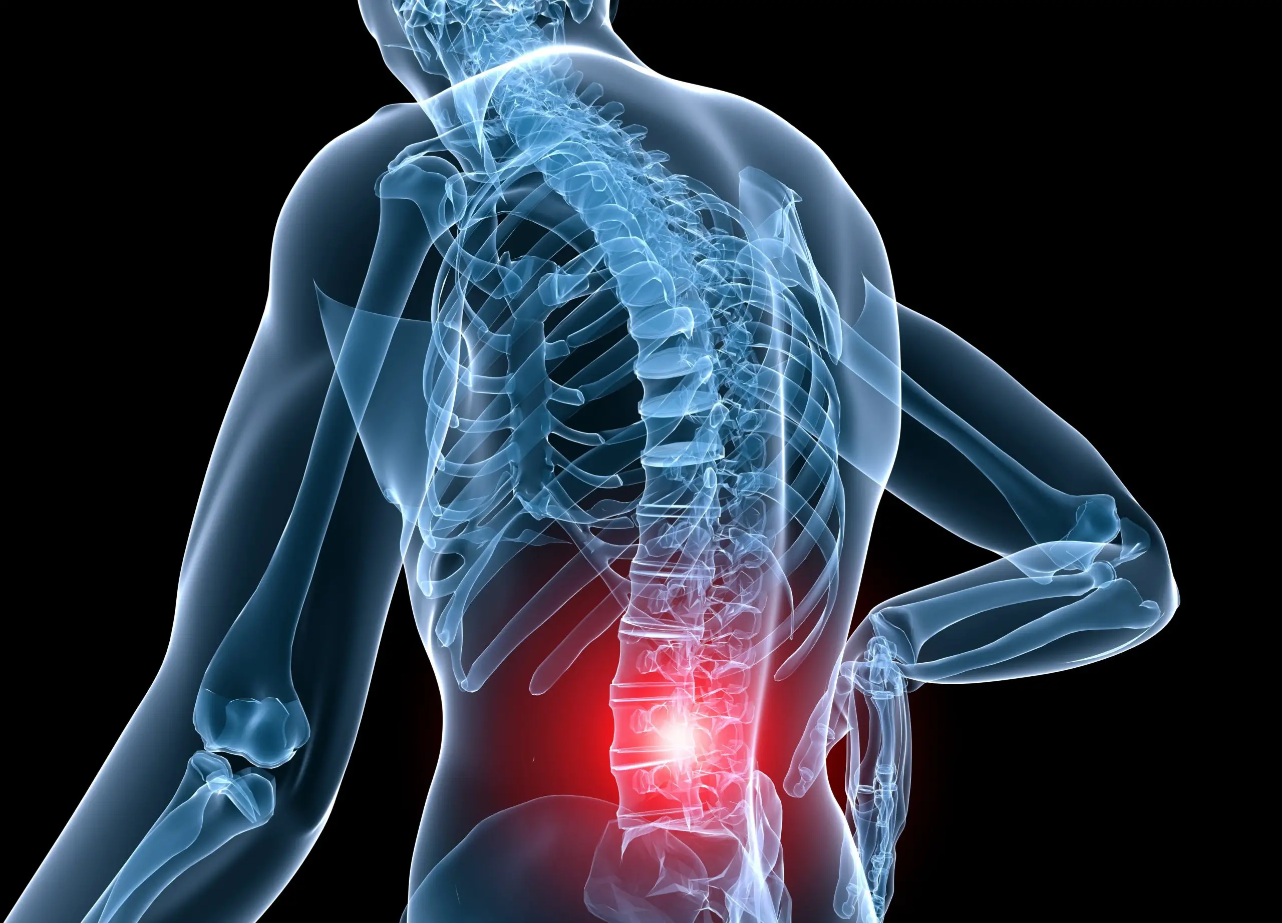 Low Back Pain Help in 24 Hours