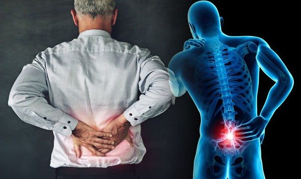 Low Back Pain Information Sheet