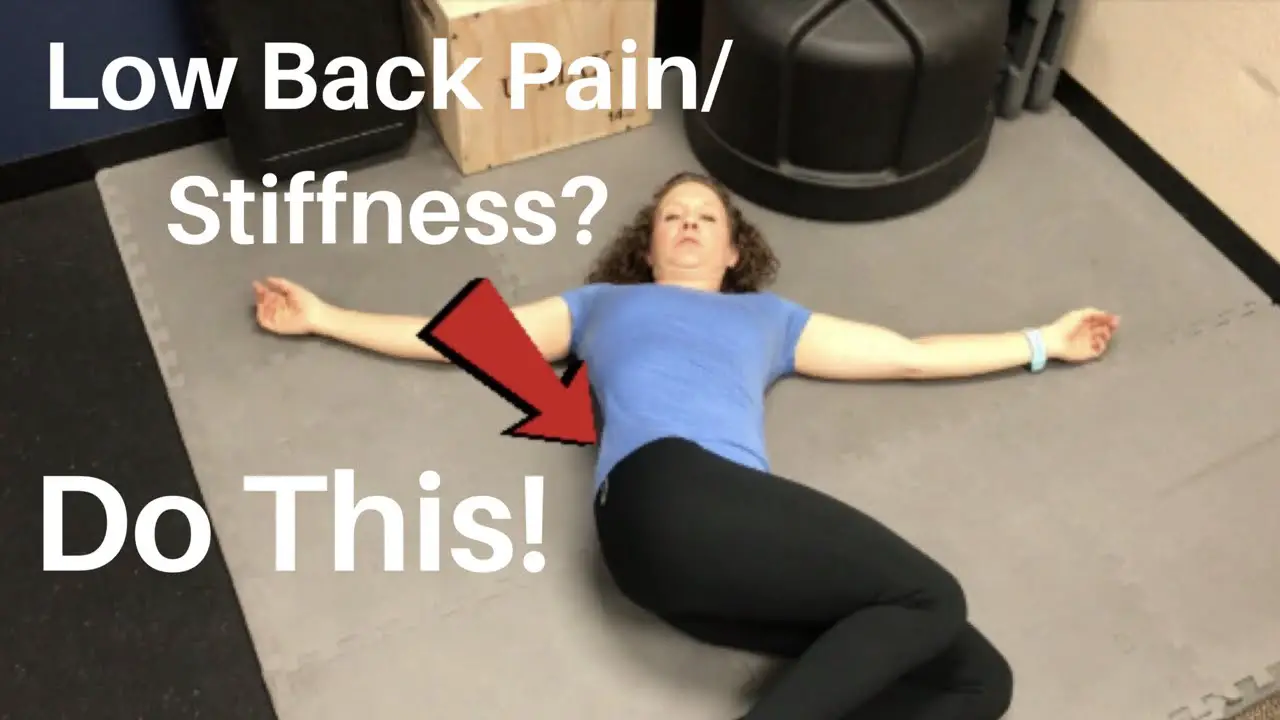 Low Back Pain/Stiffness? Do This!