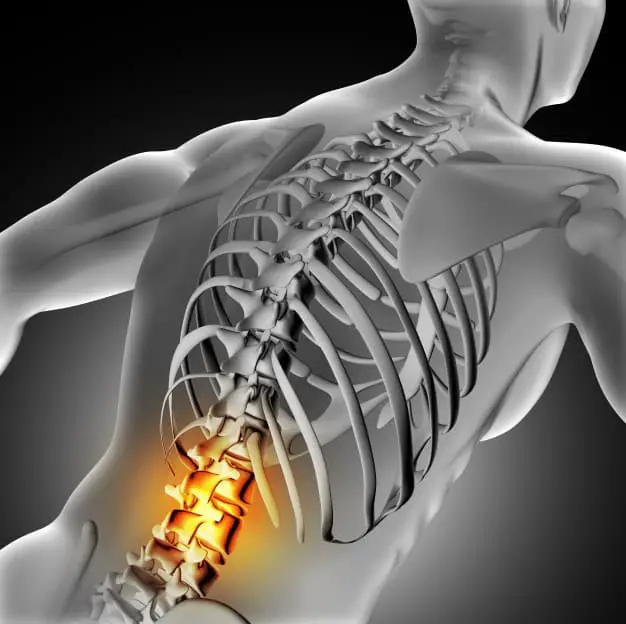 Lower Back and Spine Pain
