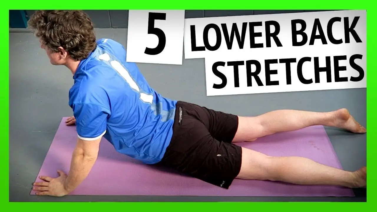 Lower Back Pain Back Flexion Stretches