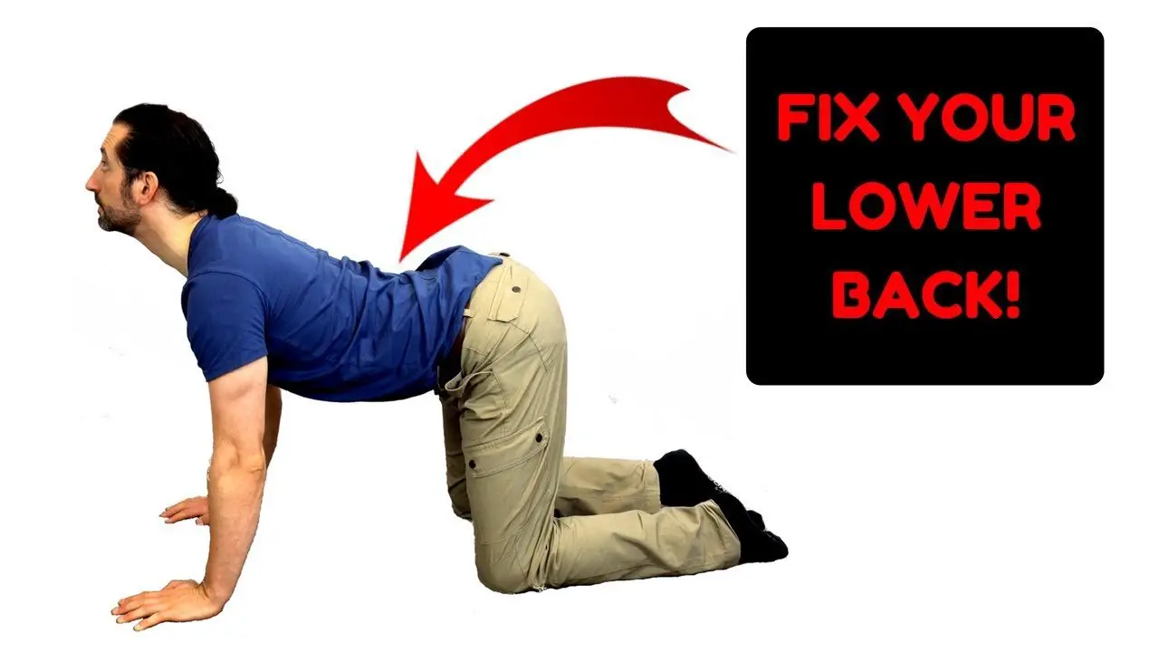 Lower Back Pain Exercises (FIX YOUR LOWER BACK PAIN FAST ...