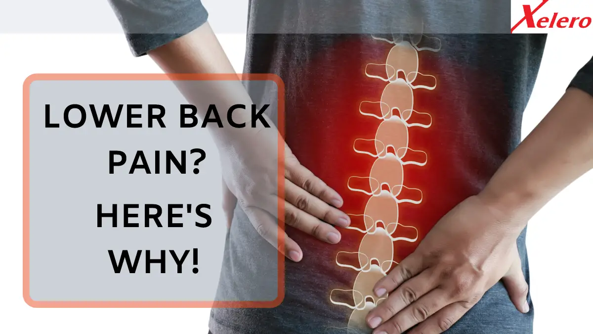 LOWER BACK PAIN HERE