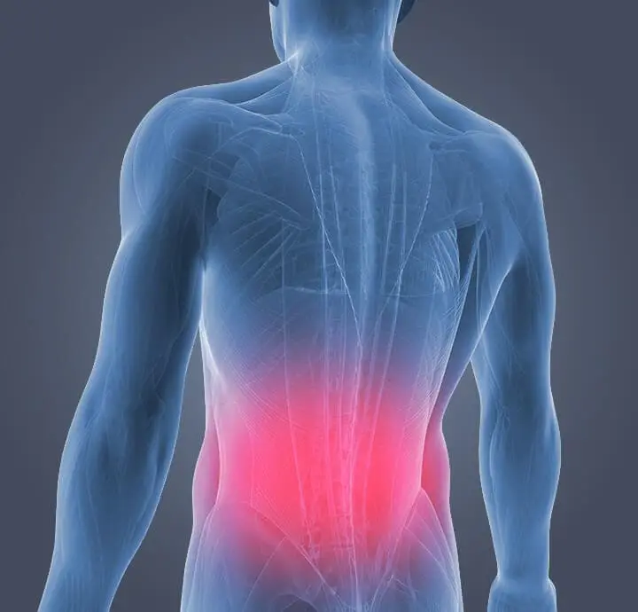 Lower Back Pain Relief &  Causes