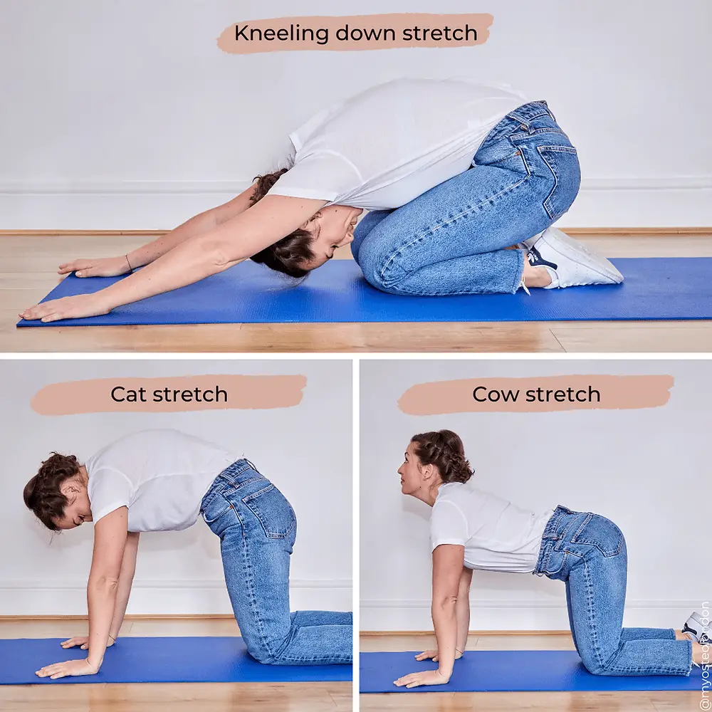 Lower back stretches
