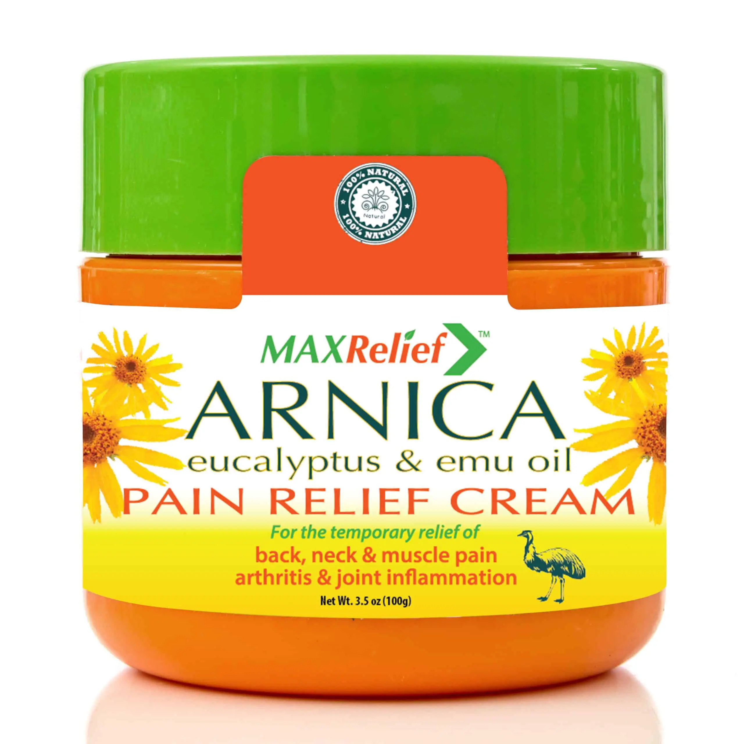 MaxRelief Arnica Pain Relief Cream
