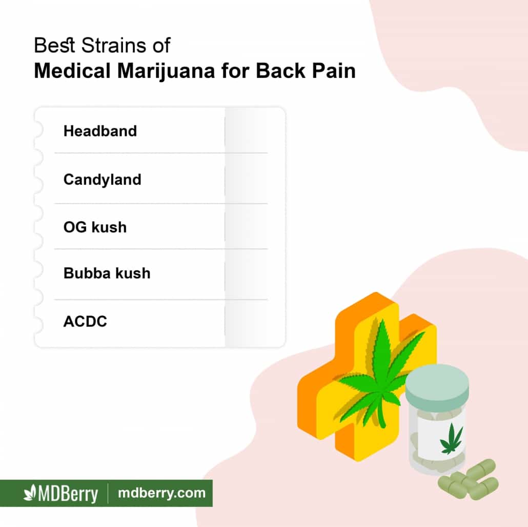 Medical Marijuana in Treatment of Back Pain in New York  MDBerry