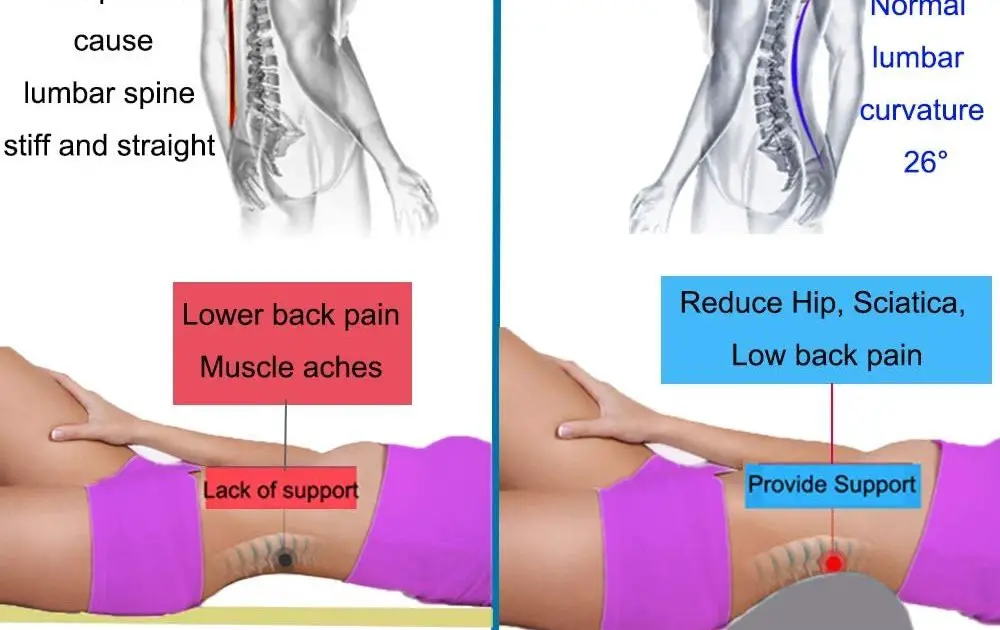 Muscles Of The Lower Back And Hip : Muscles In Lower Back ...