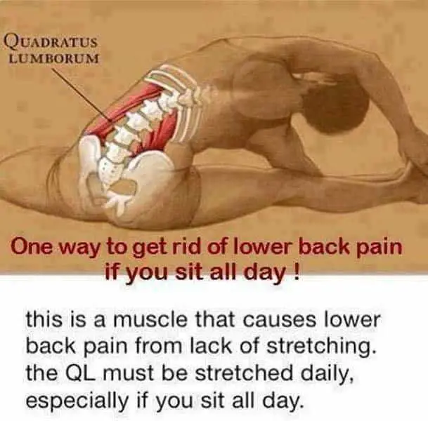 One Way To Get Rid Of Lower Back Pain If You Sit All Day.