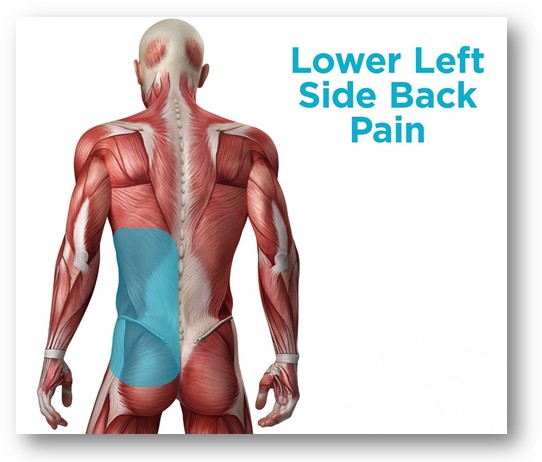 Pain in lower back on left side