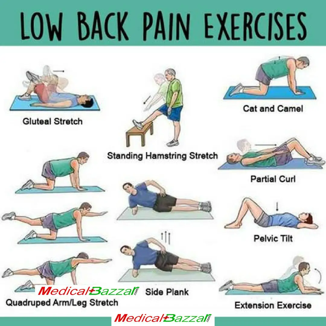 Physio Exercises For Lower Back Pain