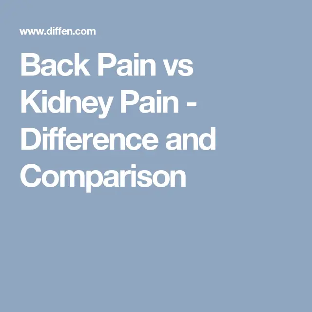 What’s The Difference Between Back Pain And Kidney Pain