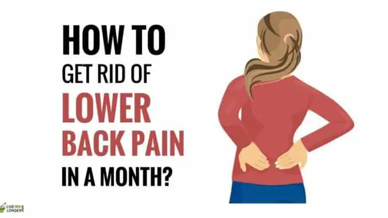 Pin on back pain exercises
