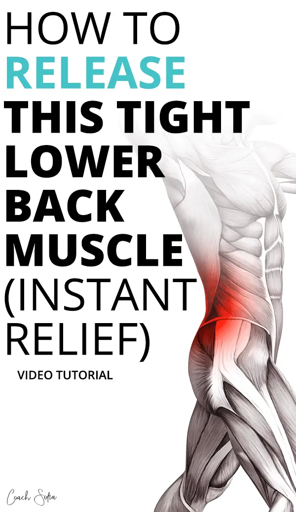 Pin on Back Pain Relief (Lower