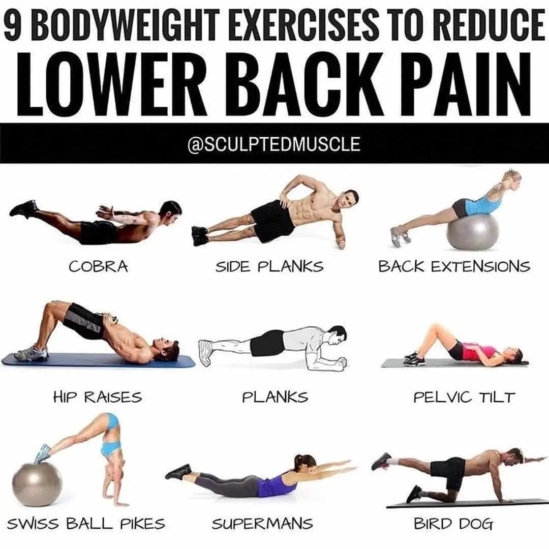 Pin on Best Abs Exercises