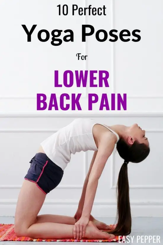 Pin on Lower Back Pain