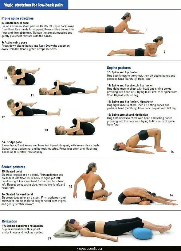 Pin on Lower Back Stretches