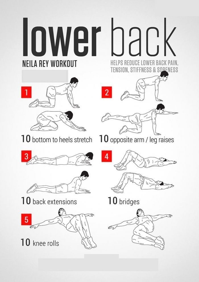 How Can I Make My Lower Back Stronger