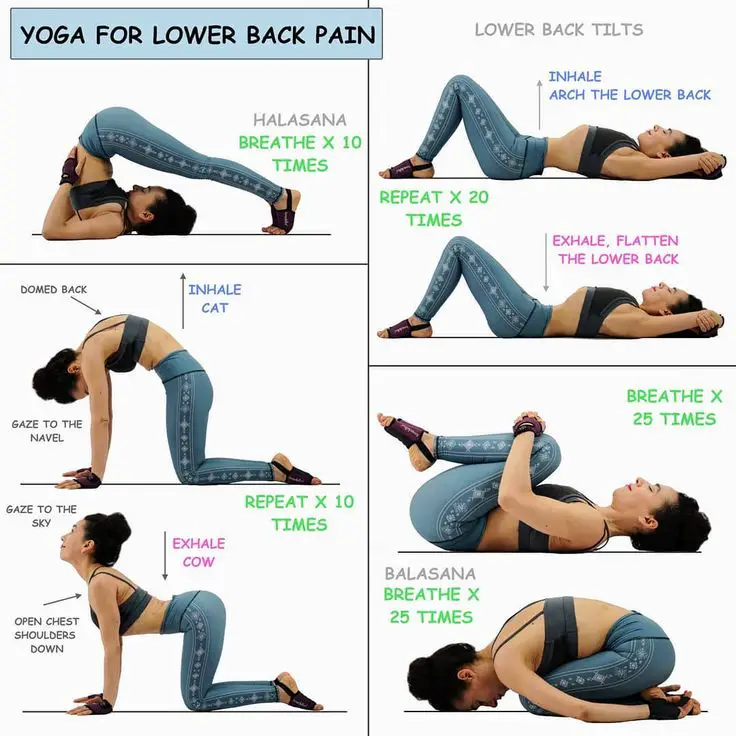 Pin on Yoga For Beginners