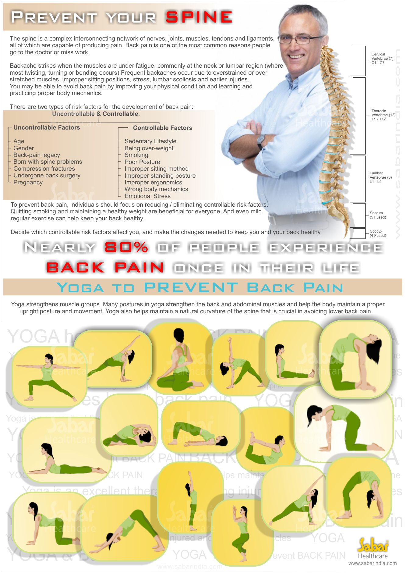 Prevent back pain Infographic