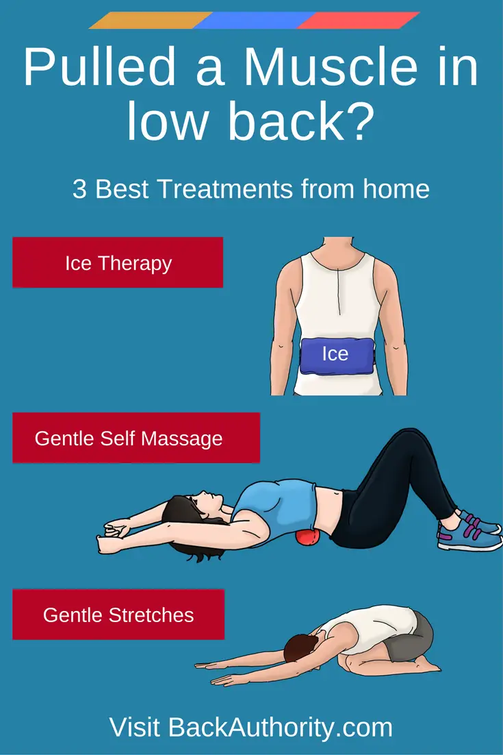Pulled Muscle in Lower Back? Best Treatments and Exercsies