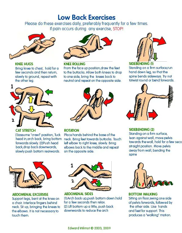 Relieve Your Lower Back Pain with Simple Strengthening ...
