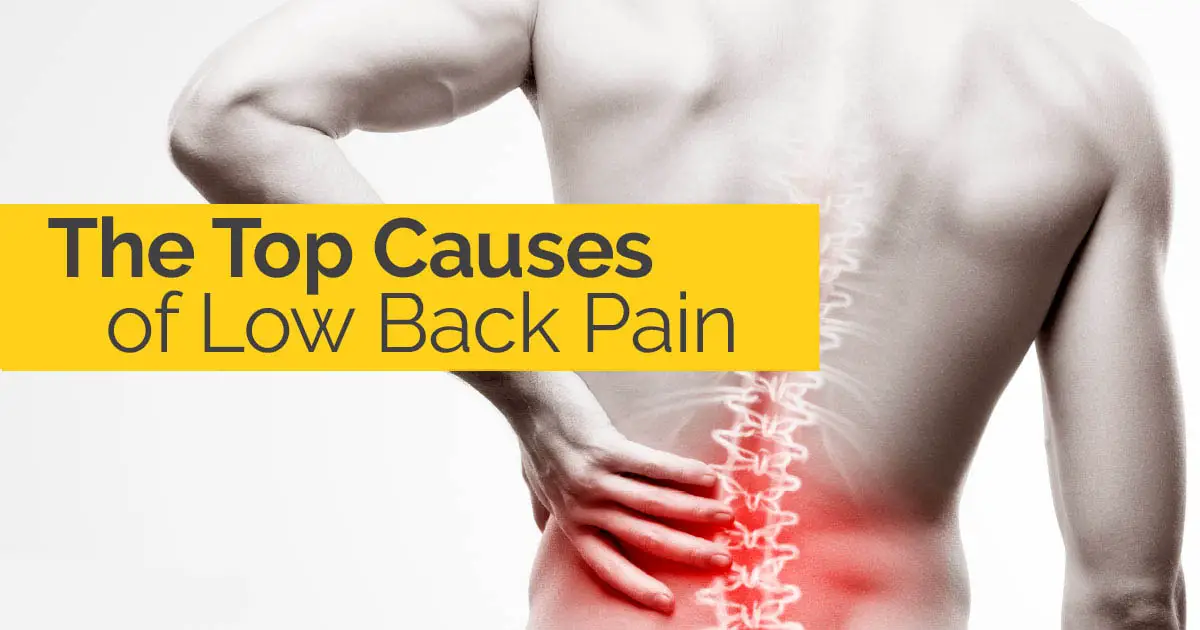 Schluter Chiropractic » The Top Causes of Low Back Pain