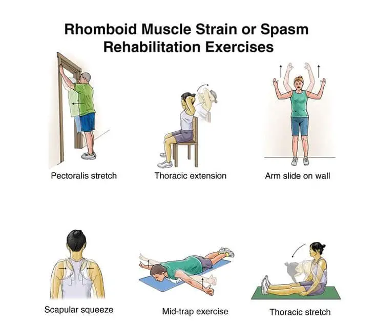stretches for mid back pain relief