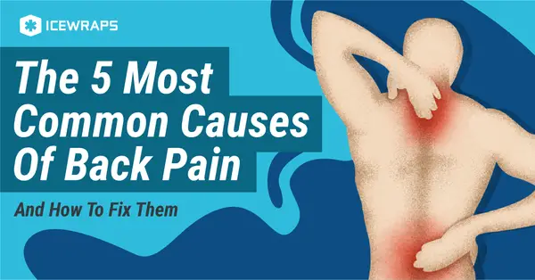 The 5 Most Common Causes Of Back Pain (And How To Fix Them ...