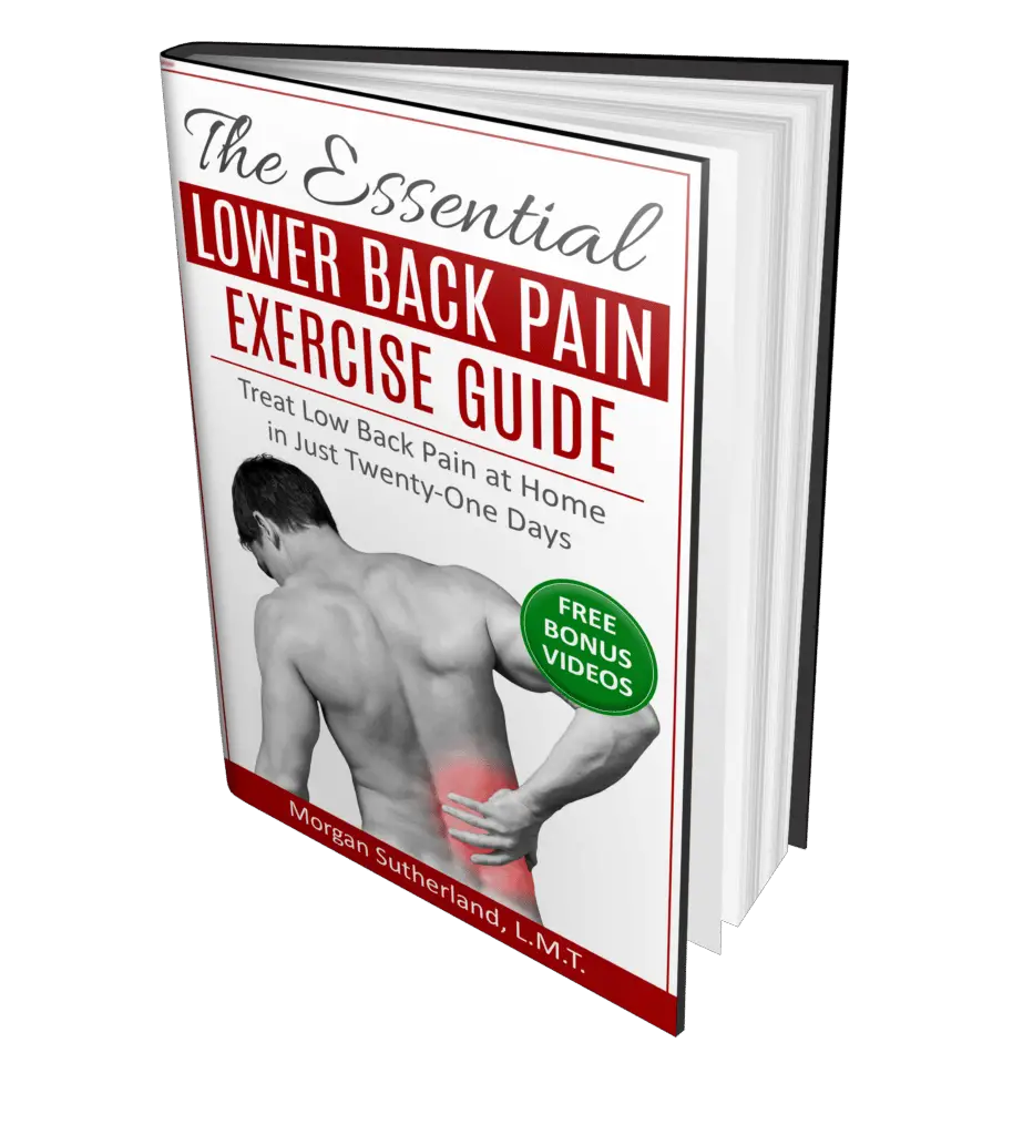 The Essential Lower Back Pain Exercise Guide: Treat Low Back Pain at ...