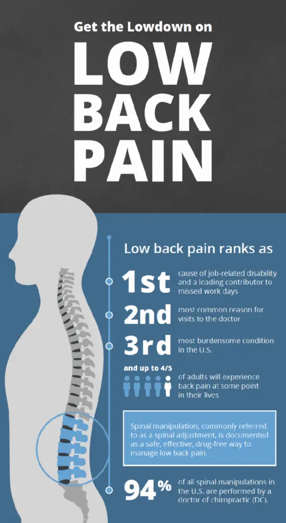 The Lowdown On Low Back Pain