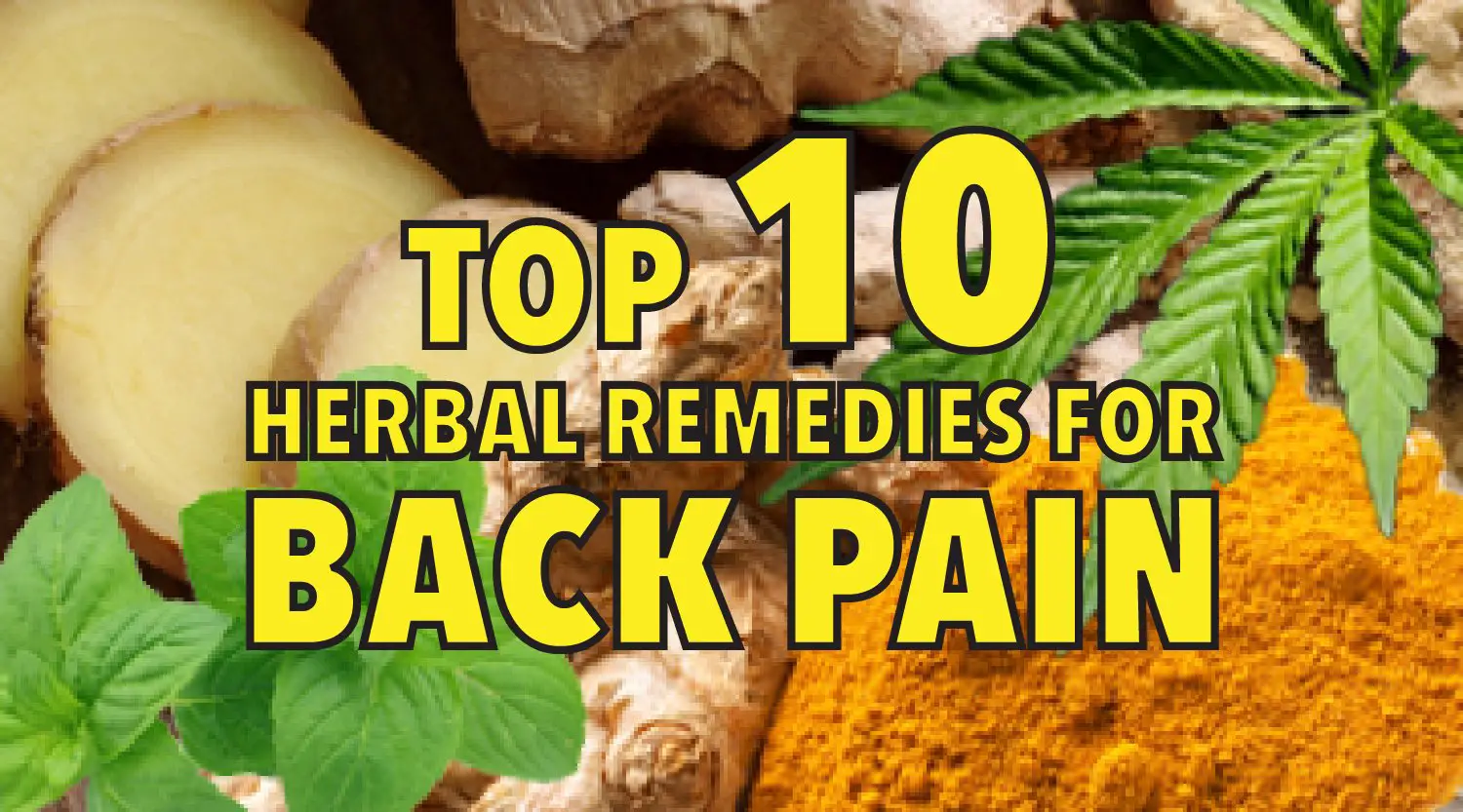 Top 10 natural herbal remedies for back pain