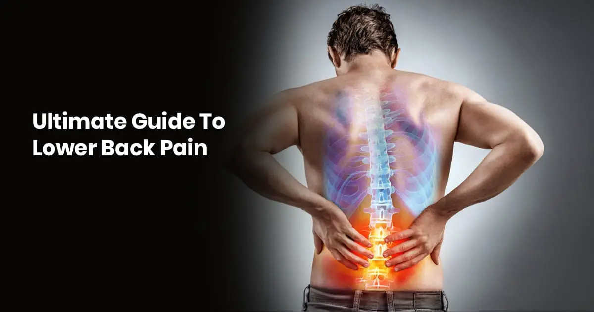 Ultimate Guide To Lower Back Pain Â» OrthoVaughn