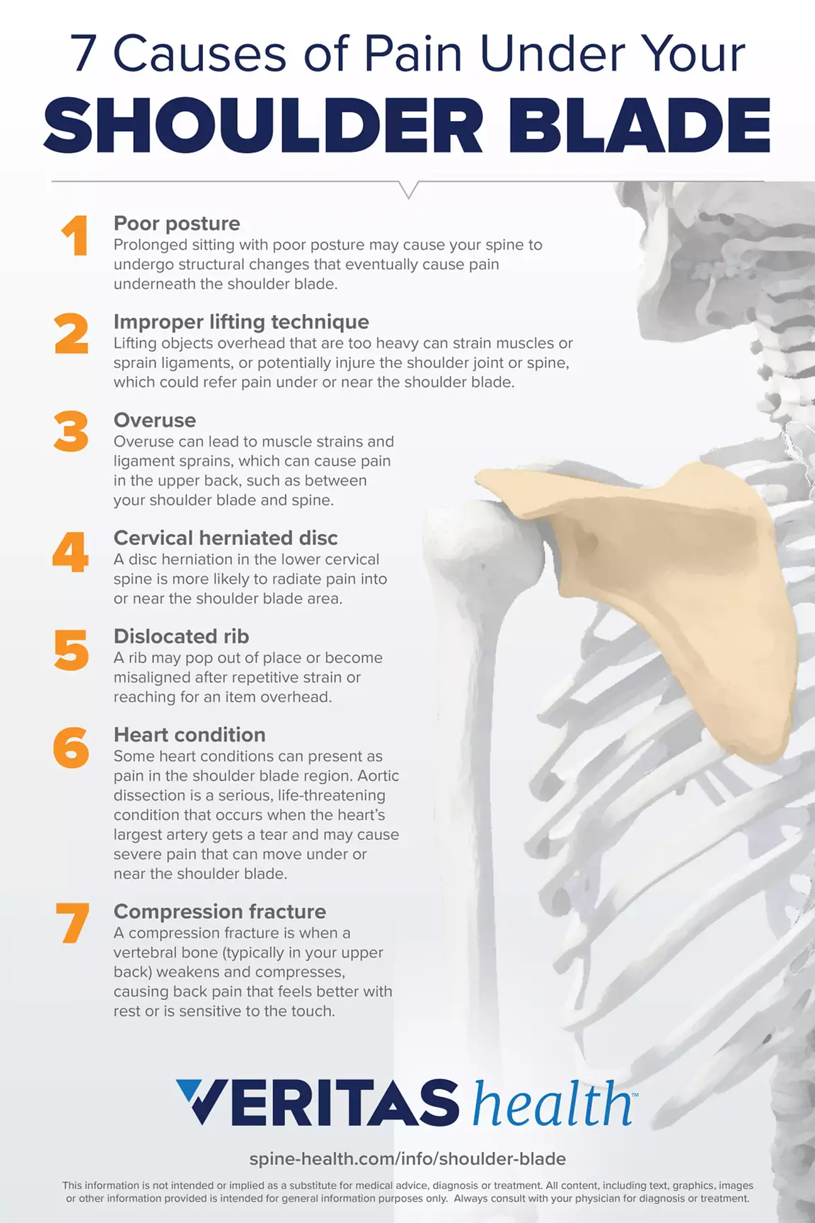Understanding Different Types of Shoulder Pain