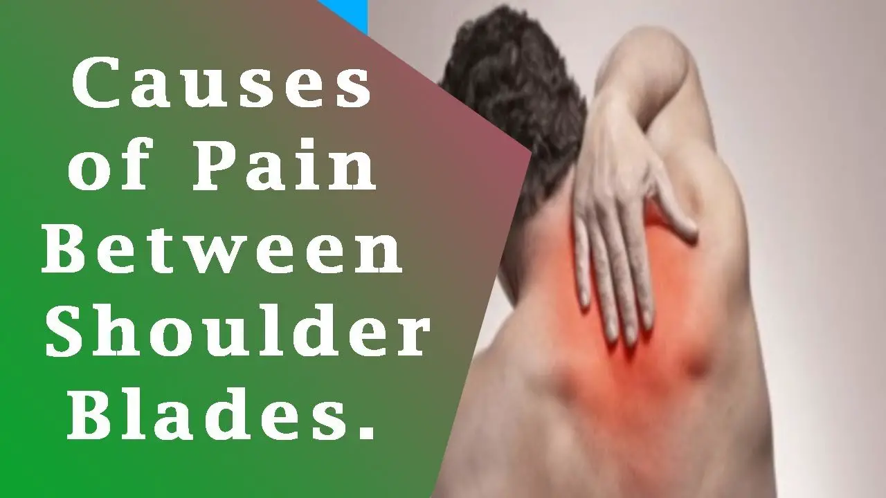 Upper Back Pain Between Shoulder Blades