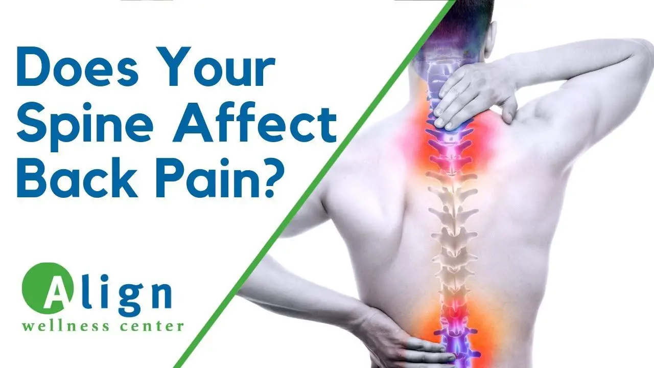 What Can Cause Lower Back Pain? (What Your Doctor Should ...