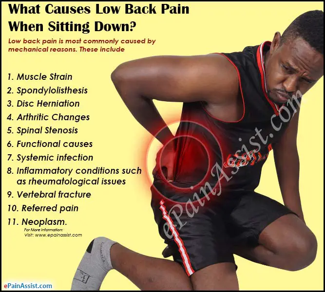 What Causes Low Back Pain When Sitting Down &  How is it ...
