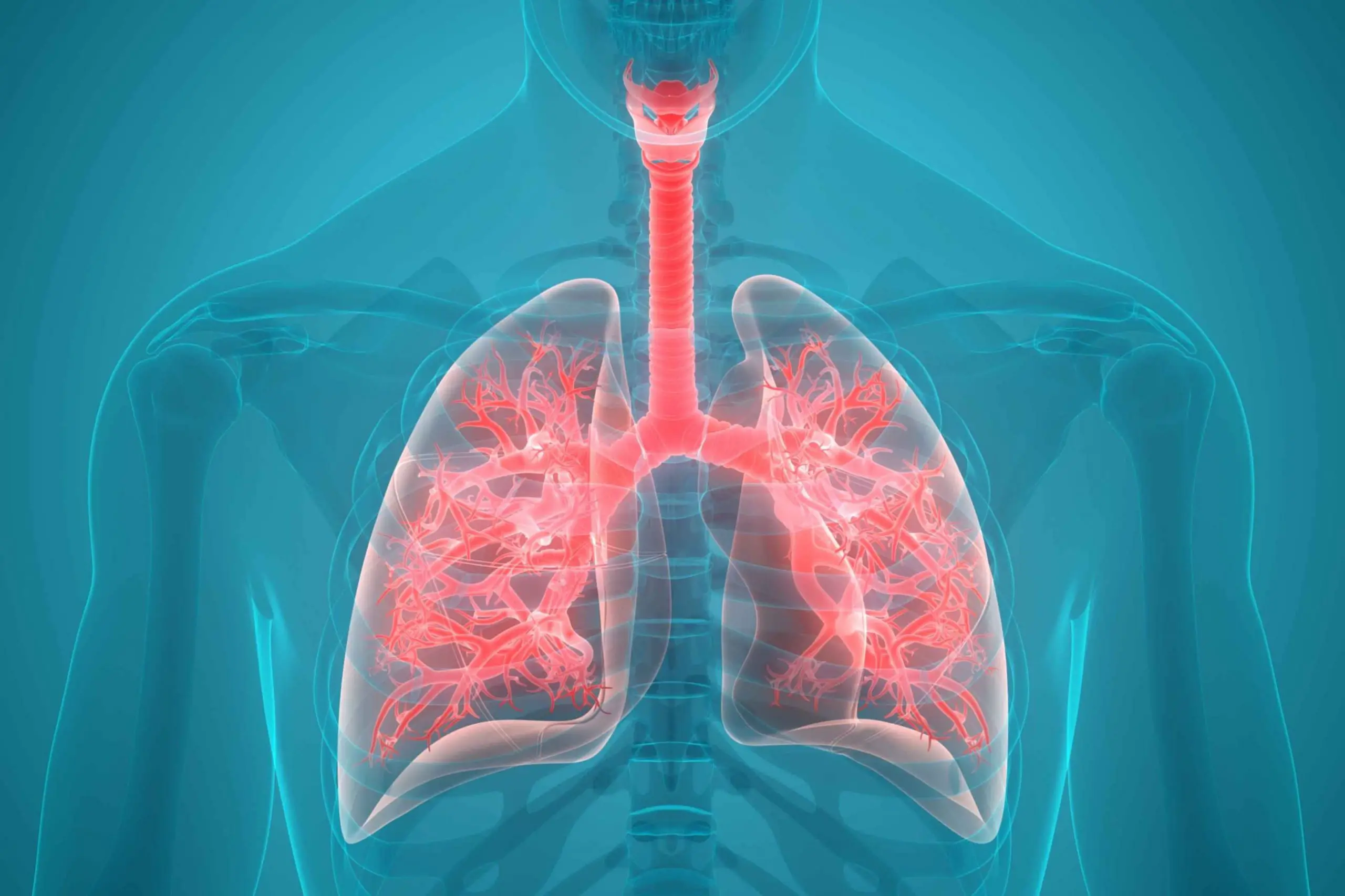 What Causes Lung Pain in the Back?