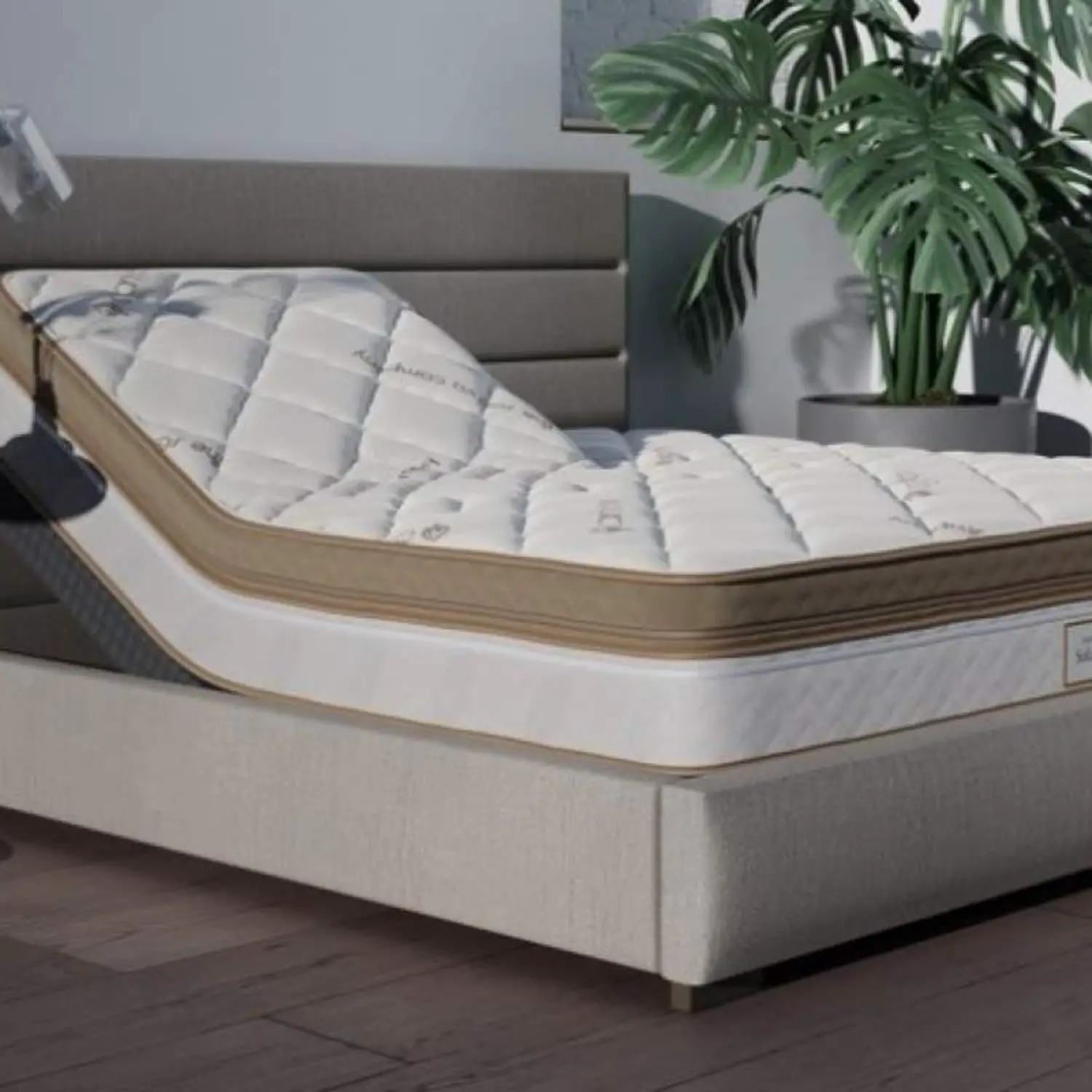 What is the Best Type of Mattress for Back Pain? Which One ...