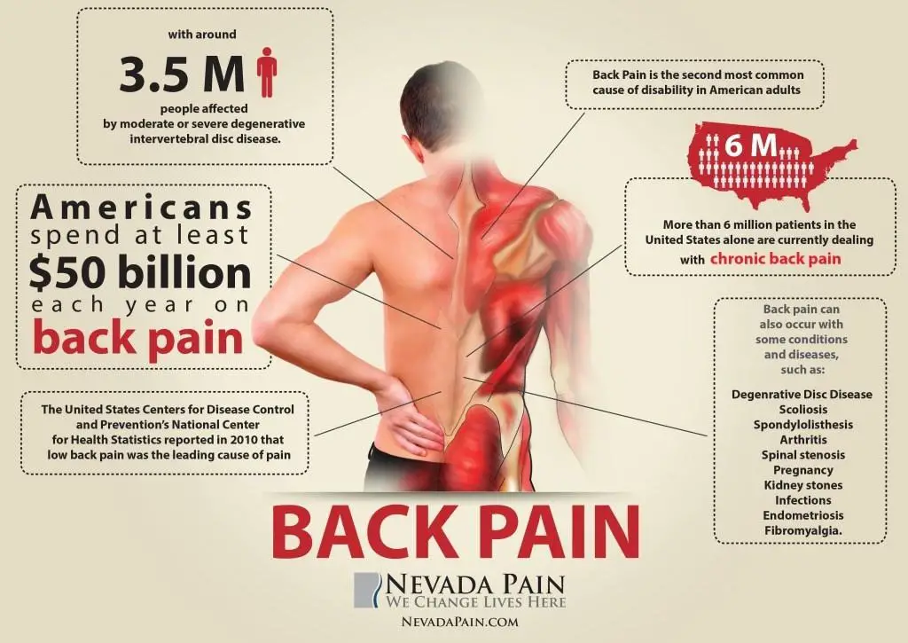 What kind of doctor should I see for low back pain? Gallatin Valley ...
