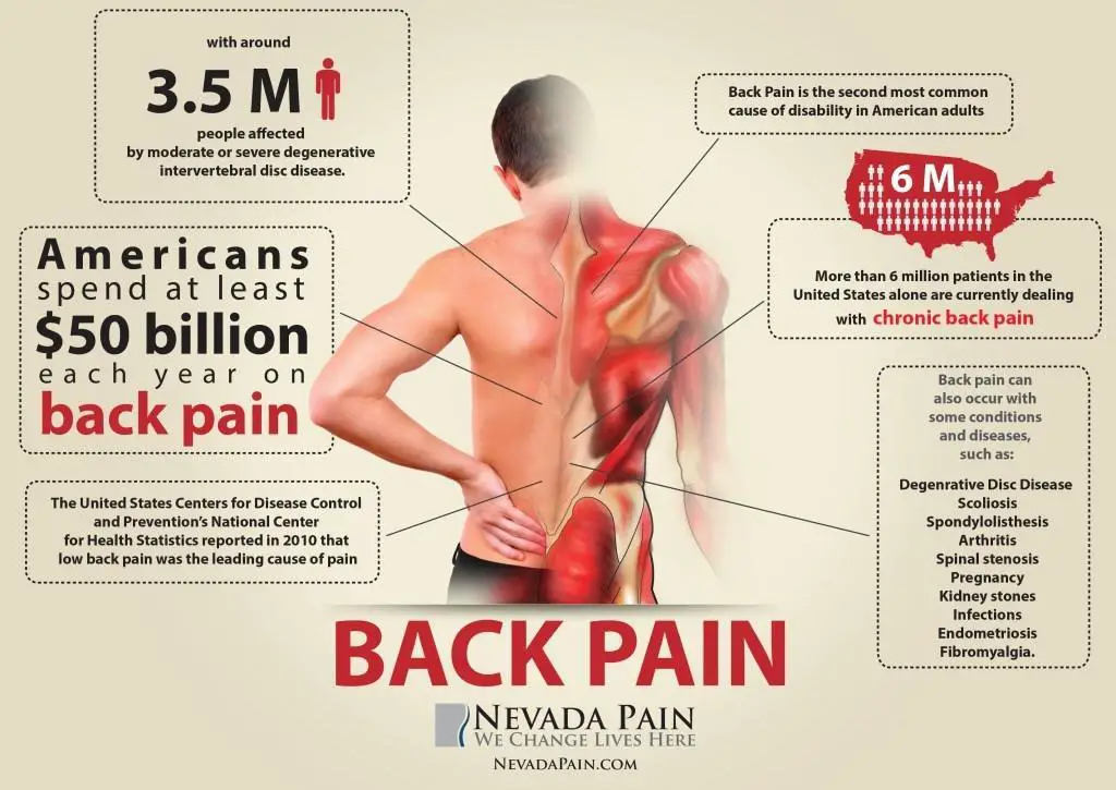 What kind of doctor should I see for low back pain ...
