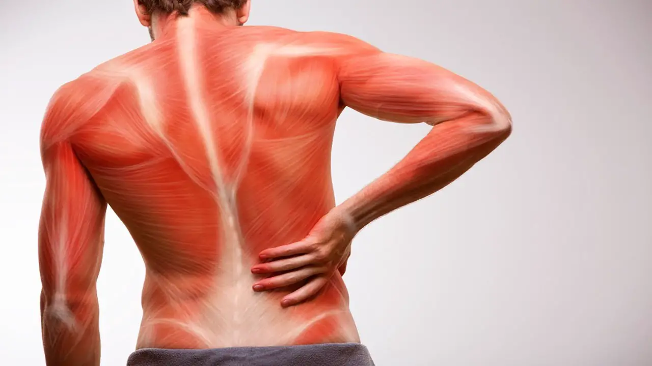 Why Does My Lower Back Hurt?