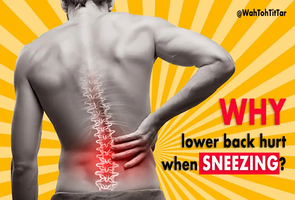 Why does your Lower Back HURT when sneezing