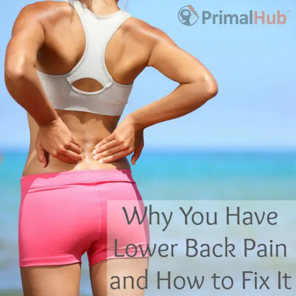 Why You Have Lower Back Pain and How to Fix It (VIDEO)