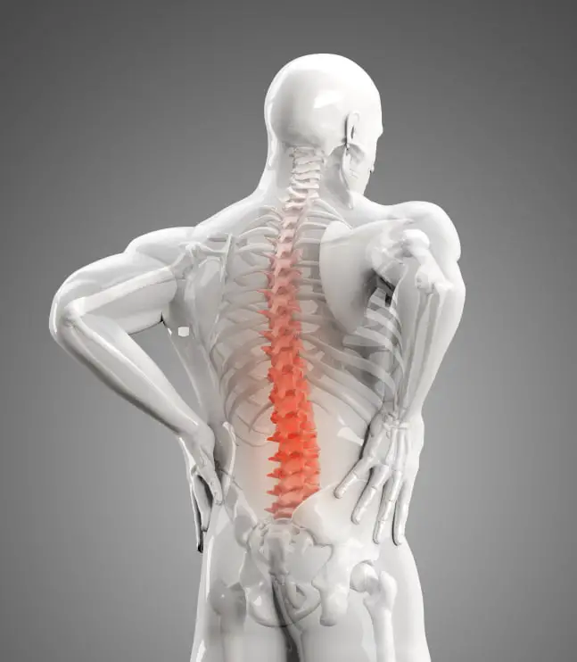 Why You Should See A Chiropractic Doctor For Your Lower Back Pain