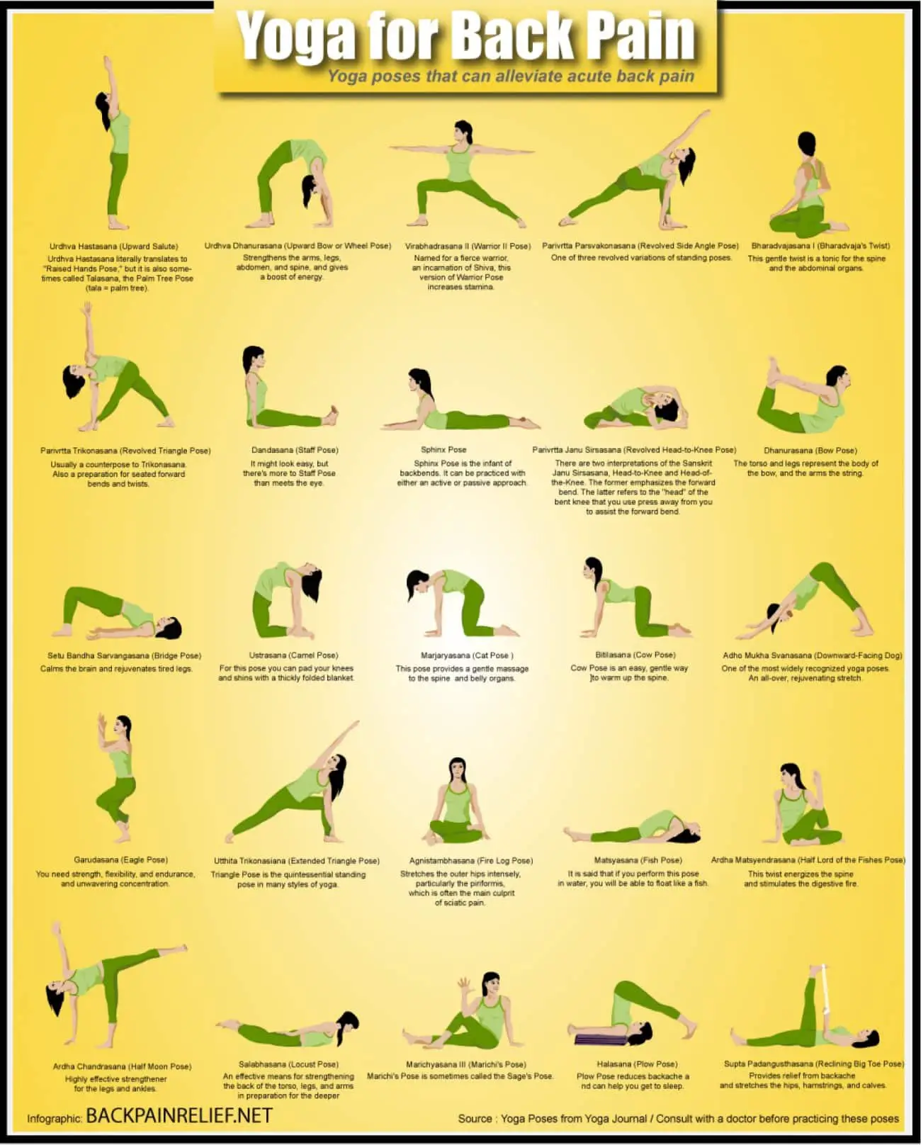 Yoga Poses For Back Pain Relief (Infographic)